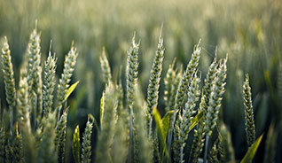 在线DDOS平台攻击